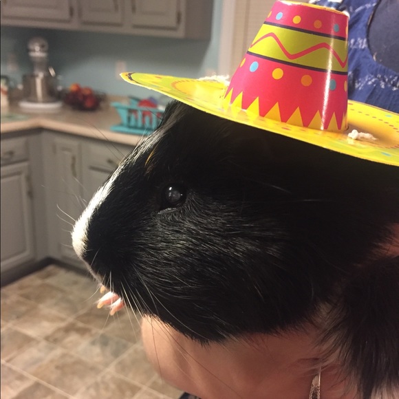 Meet your Posher, Autumn - Picture 2 of 4